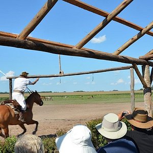 Amplio jardín custodiado por un pino piñonero centenario, con barbacoa,  sarmientos y parrillas para asar. - Photo de Zazuar, Province of Burgos -  Tripadvisor