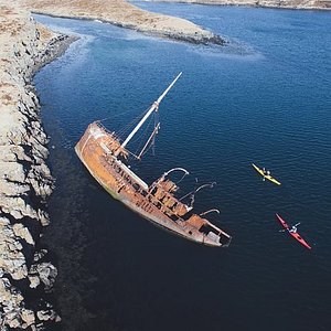 BJARNARHOFN SHARK MUSEUM: Tutto quello che c'è da sapere (AGGIORNATO 2024)  - Tripadvisor