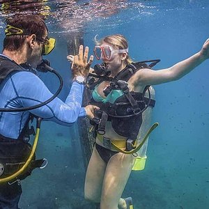 300px x 300px - 2023 Private Scuba Diving Puerto Vallarta Undersea