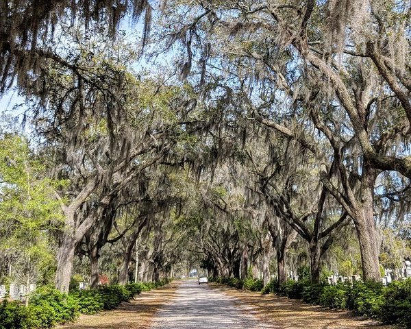 Fort Fremont (Saint Helena Island) - All You Need to Know BEFORE You Go