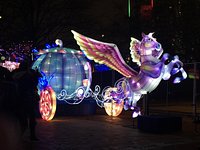 CHINESE LANTERN FESTIVAL - 773 Photos & 76 Reviews - 6TH And Race