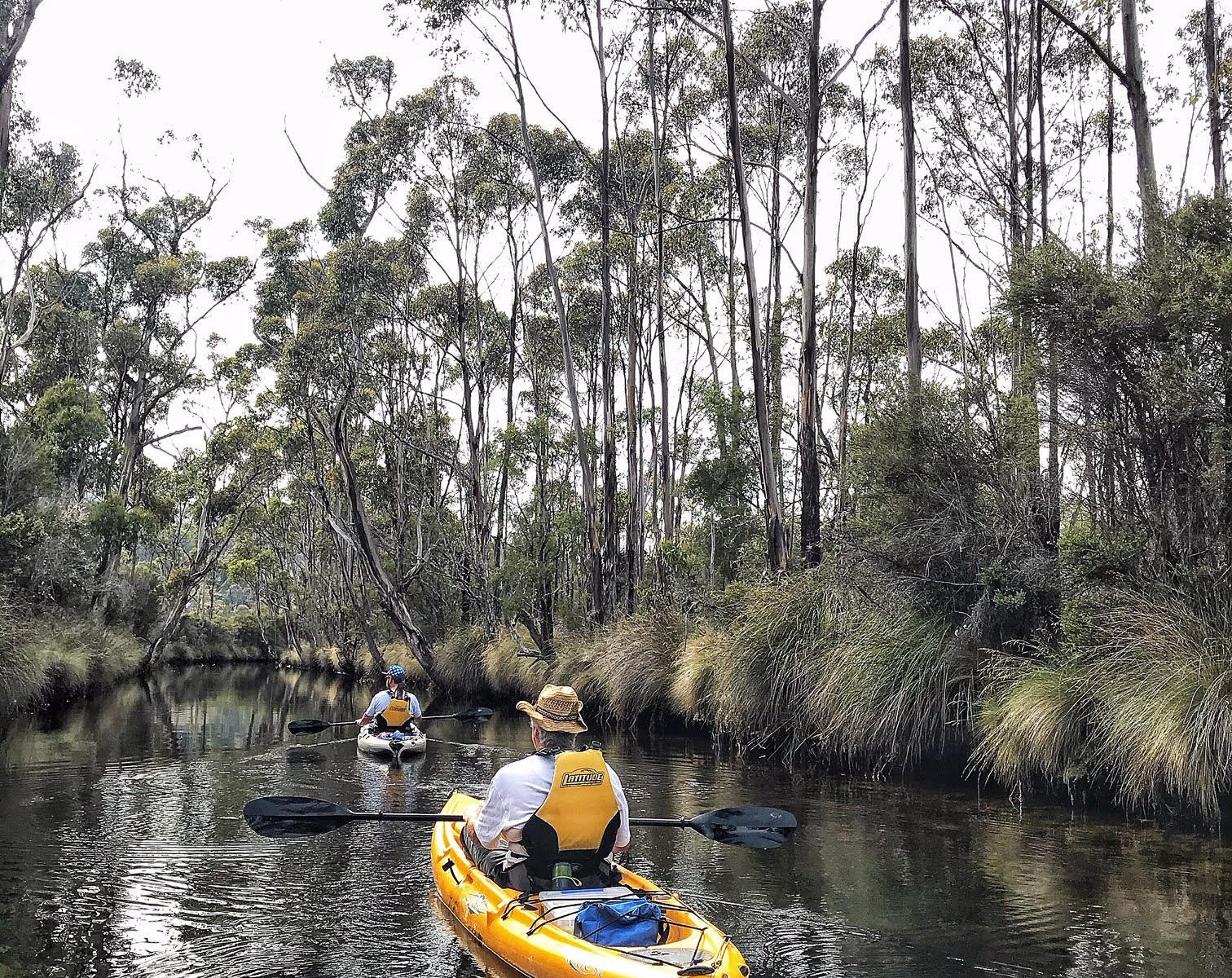 Esperance Adventures (Dover) - All You Need to Know BEFORE You Go