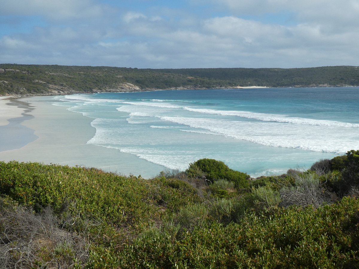 BLOSSOMS BEACH BREMER BAY Ce qu'il faut savoir pour votre visite (avec