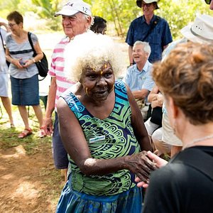 tours to tiwi islands northern territory