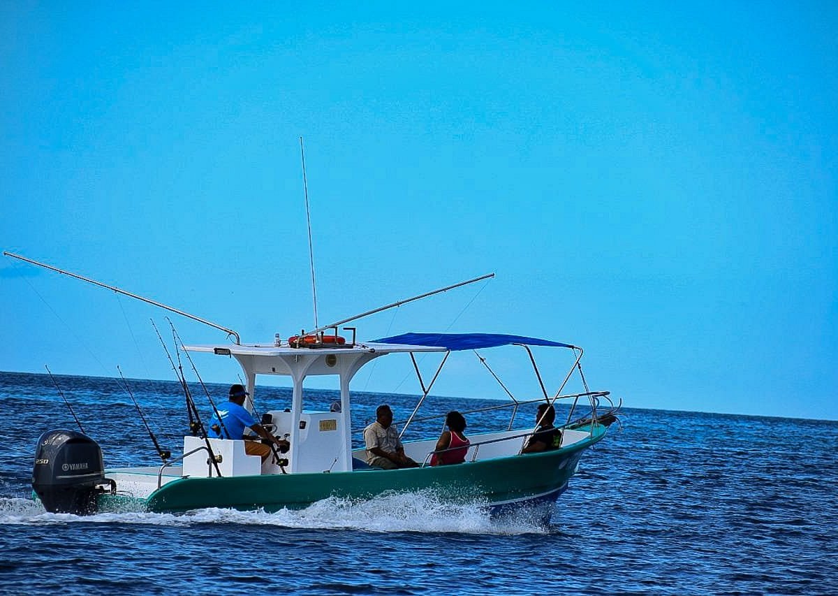  EatMyTackle Blue Marlin - Combo de caña giratoria y carrete de  agua salada : Deportes y Actividades al Aire Libre