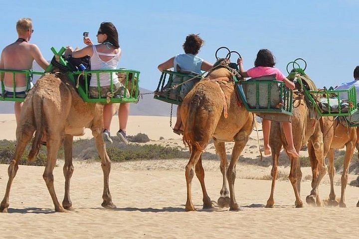 camel safari maspalomas gran canaria