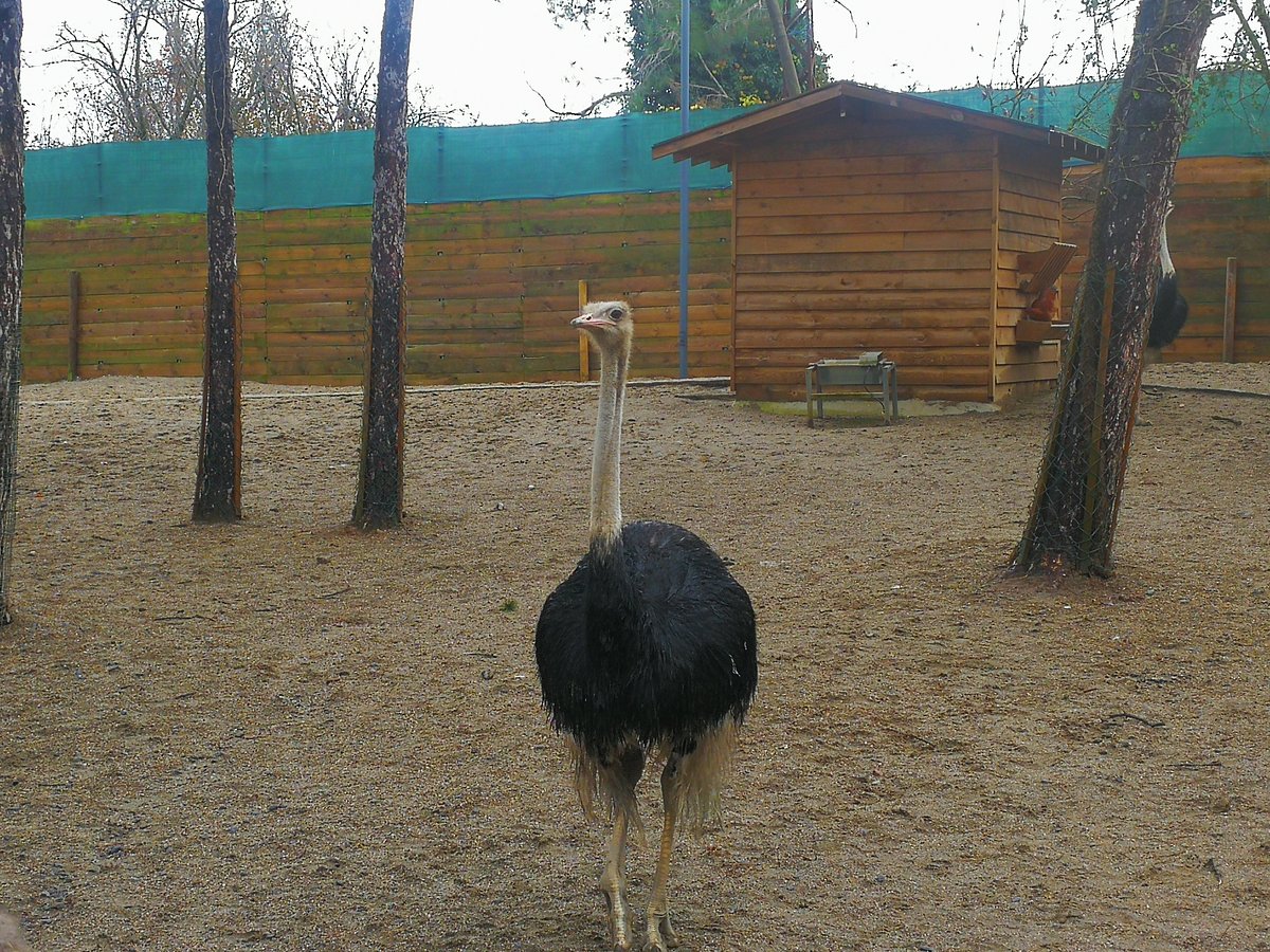 Park Of Istanbul, Стамбул: лучшие советы перед посещением - Tripadvisor