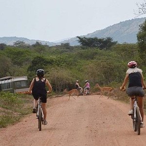 tourism news in kisumu
