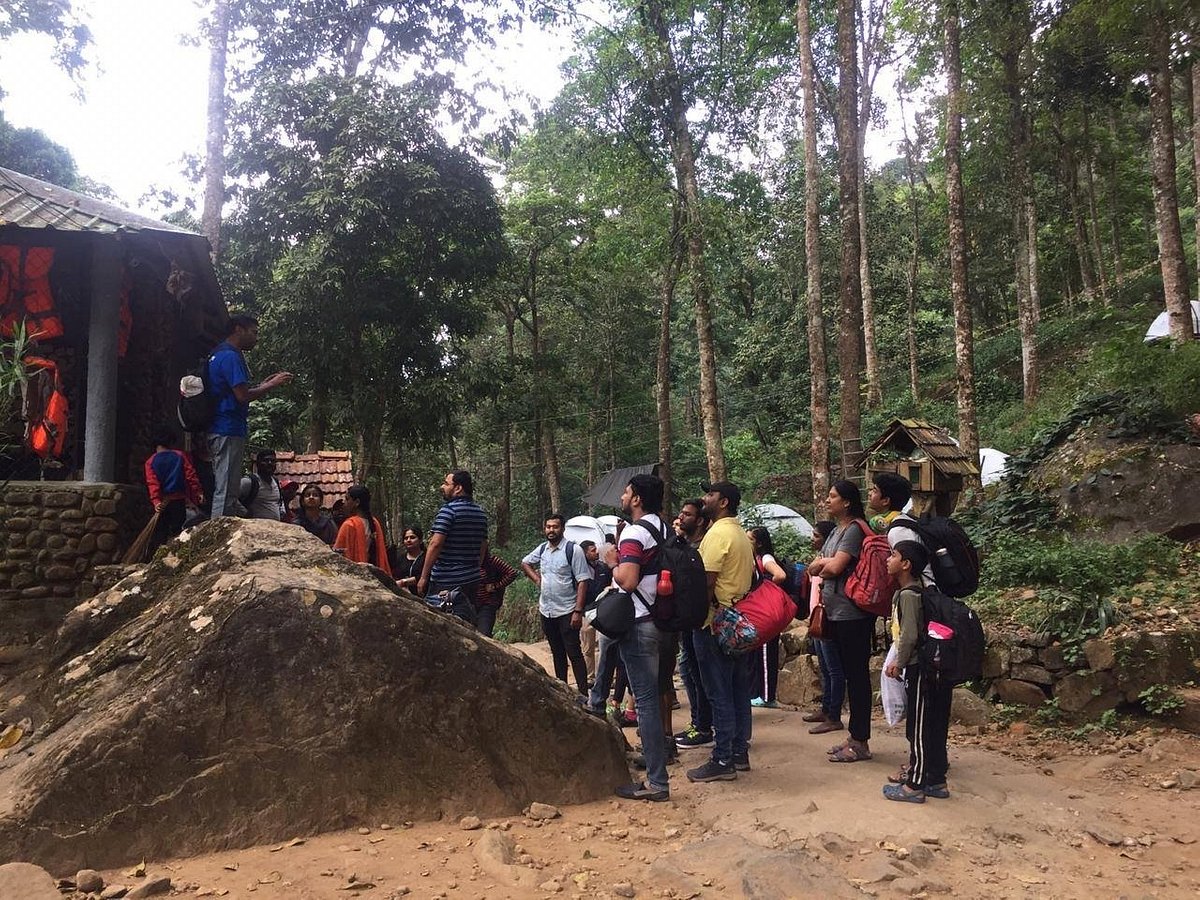 chaliyar tourist home ramanattukara