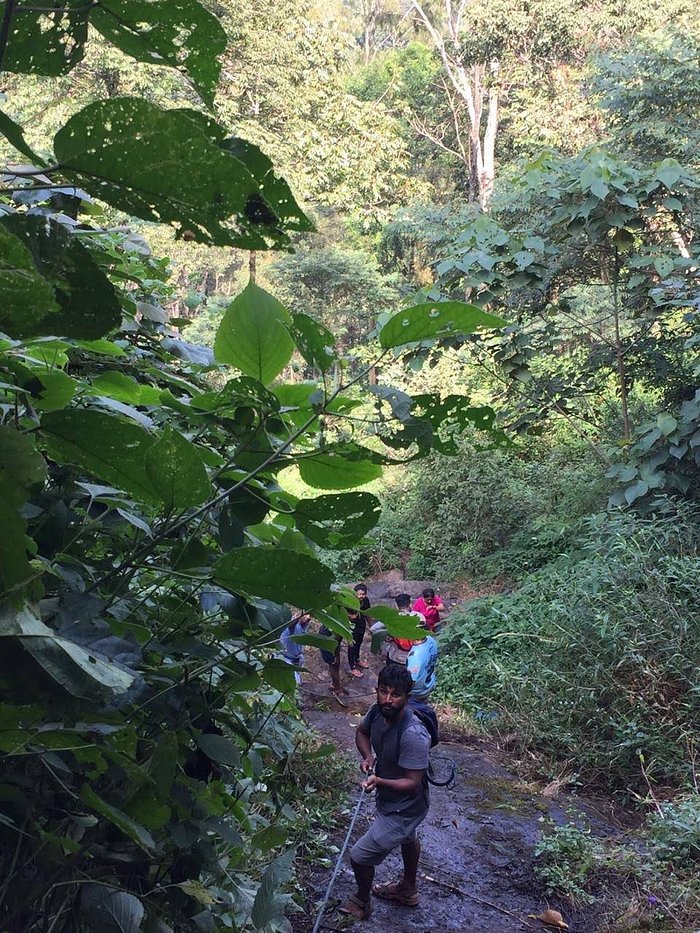 chaliyar tourist home ramanattukara