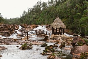 Gaia Riverlodge in Blancaneaux, image may contain: Rainforest, Vegetation, Land, Shelter