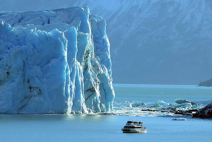 Patagonia Dreams (2025) - All You Need to Know BEFORE You Go