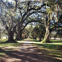 Evergreen Plantation (Edgard) - All You Need to Know BEFORE You Go