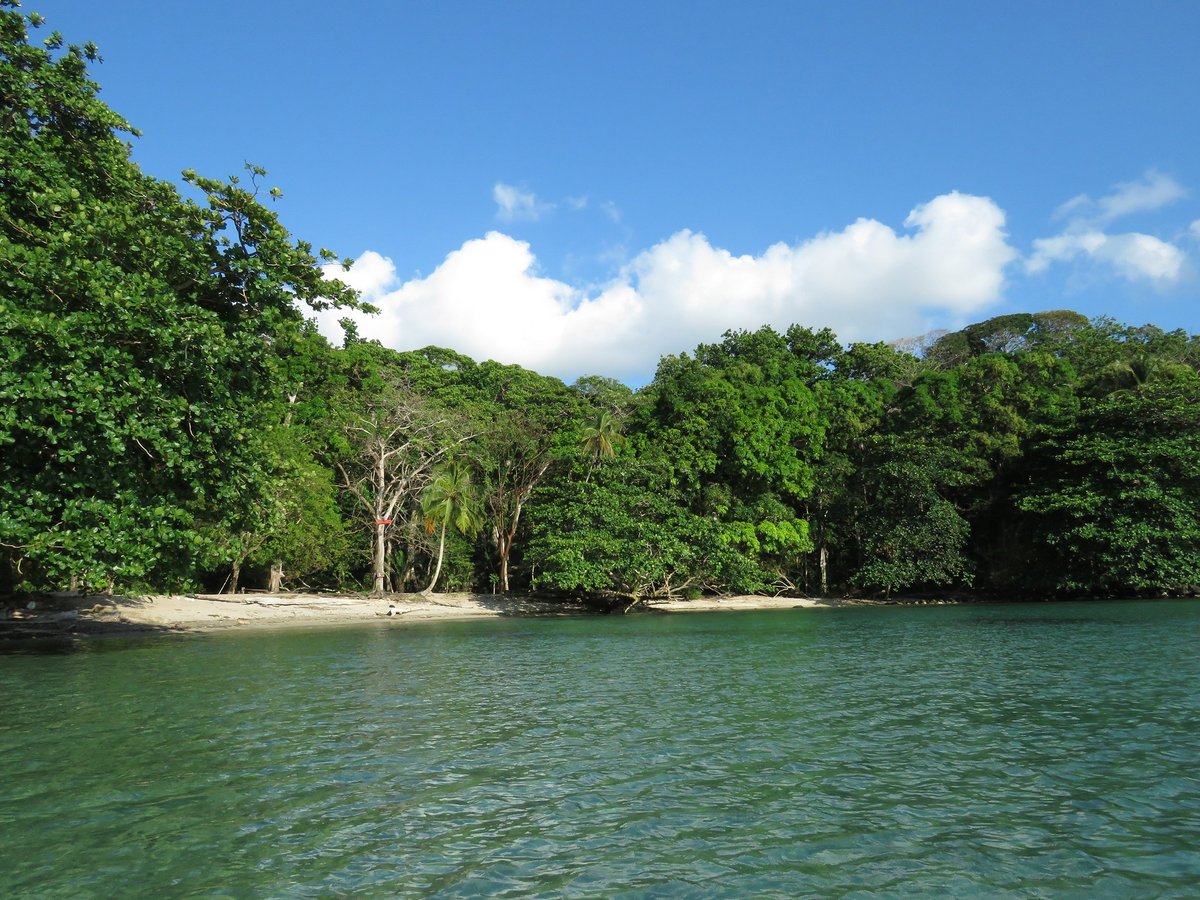 Portobelo Explorer - All You Need to Know BEFORE You Go