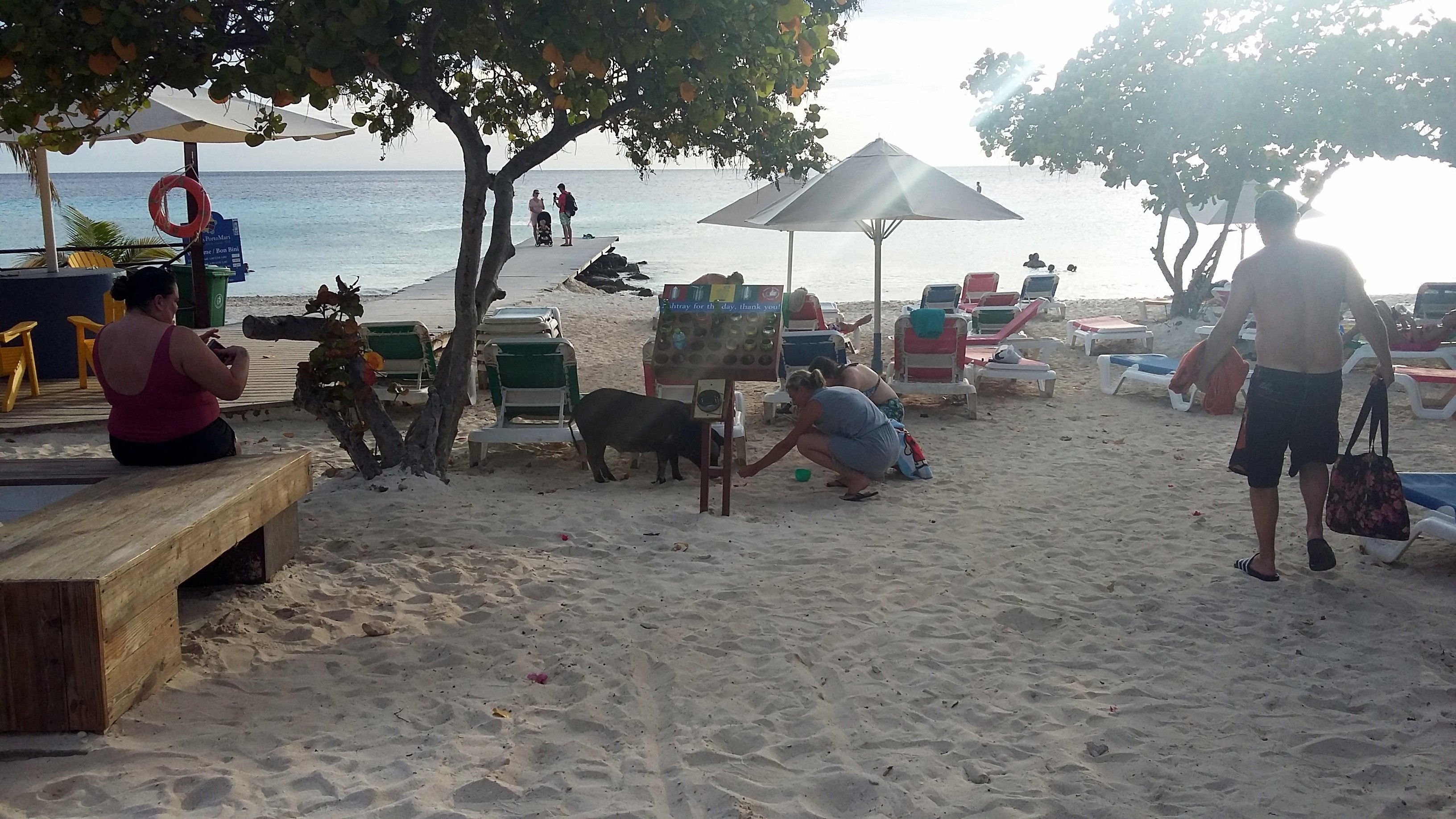 Playa PortoMari (Curazao) - 2022 Lo Que Se Debe Saber Antes De Viajar ...