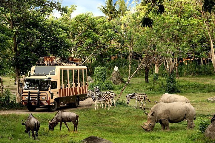 Why Does Wildlife Matters? - Taman Safari Bali