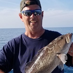 Gulfstar Fishing – Half Day and Multi Day Offshore Fishing