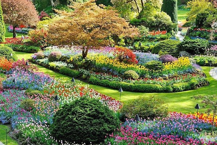 The Butchart Gardens (2025) - All You Need to Know BEFORE