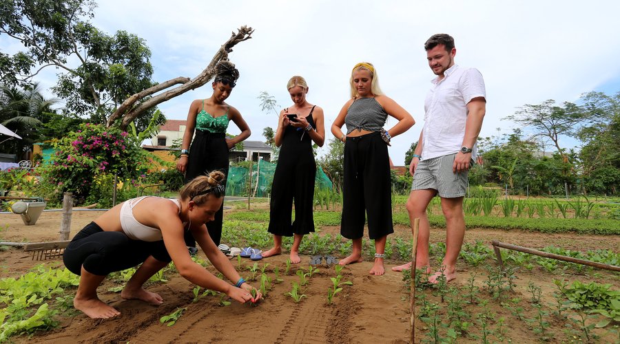 Try to be a Farmer