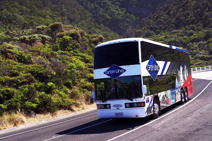 grayline bus tours melbourne