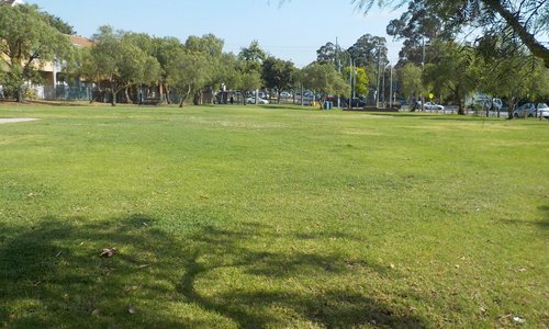 A huge patch of green