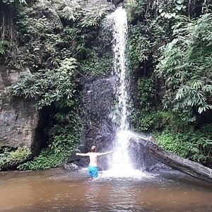 Doi Suthep Pui National Park 2021 All You Need To Know Before You Go Tours Tickets With Photos Tripadvisor