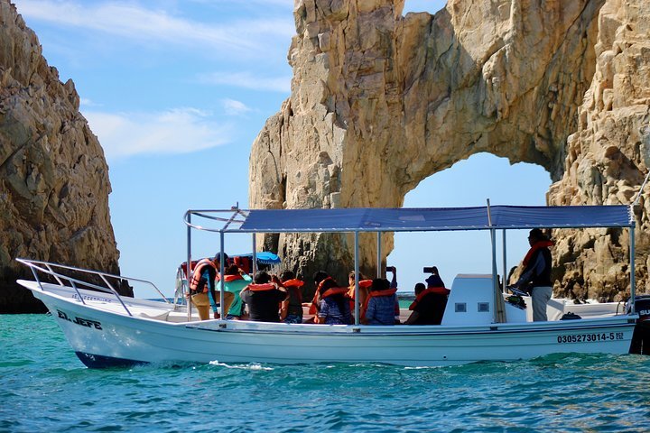 El Arco de Cabo San Lucas All You Need to Know BEFORE You Go 2024