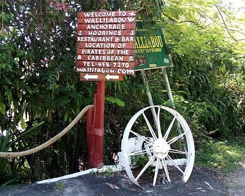 st vincent island tour