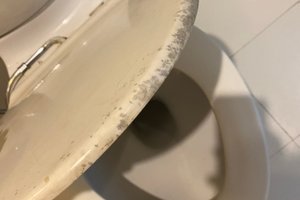 旅行者の写真