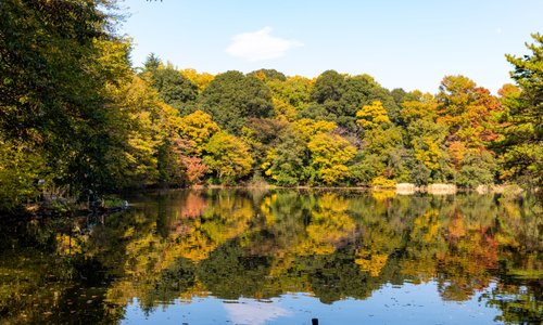 Shakuji Park 