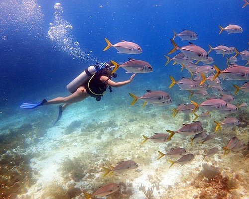 THE 10 BEST Cancun Scuba Diving & Snorkeling (Updated 2024)