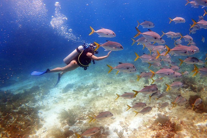 cancun diving all inclusive