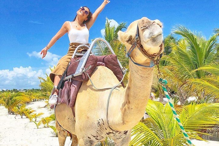 camel riding in cancun mexico