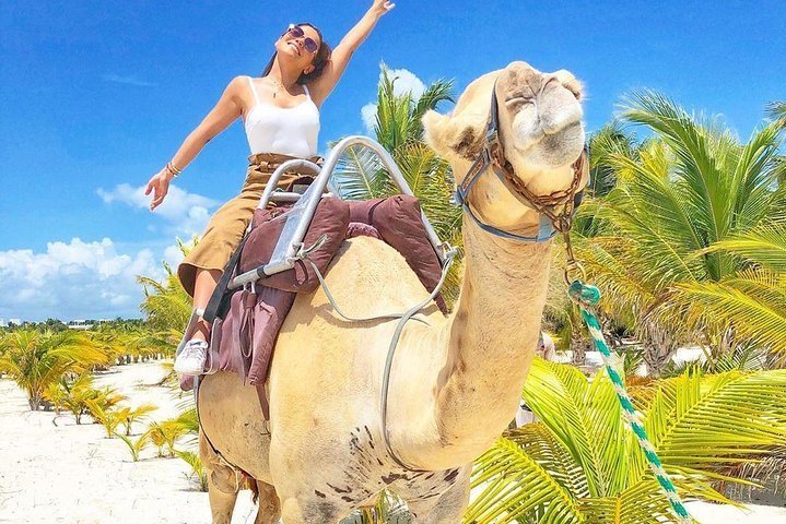 camel riding cancun mexico