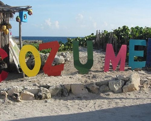 best shore excursions cozumel