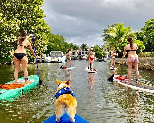 Activities, Guided Tours and Day Trips in Boca Ratón - Civitatis