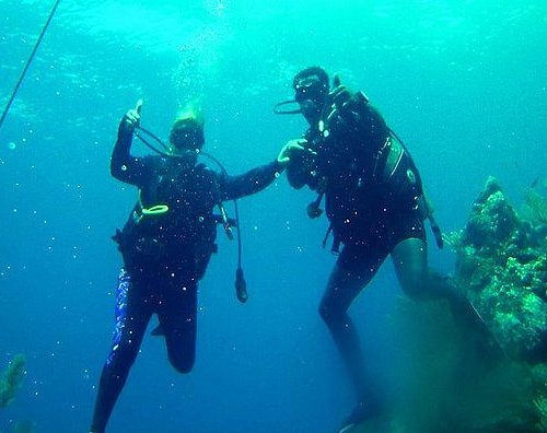 Apprendre la Plongée sous-marine à Roatan - Roatan Diving
