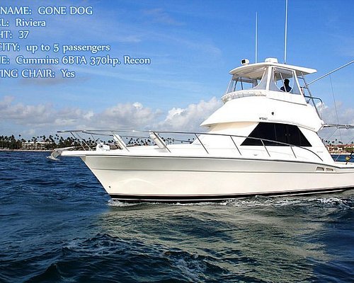 THE 10 BEST Punta Cana Fishing Charters & Tours (Updated 2024)