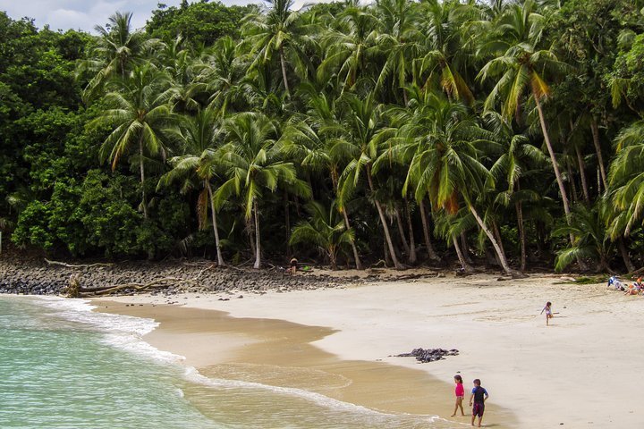 2024 Gulf of Chiriquí islands tour provided by Bongo Outdoors Tours