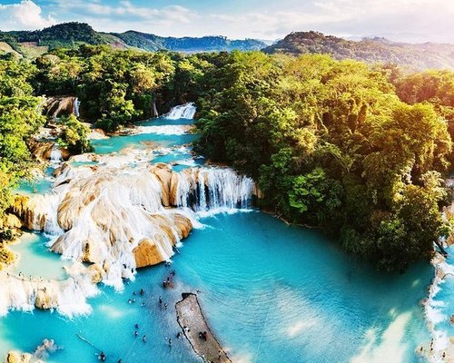 JUNGLE PALACE (PALENQUE, MÉXICO): 57 fotos e avaliações - Tripadvisor