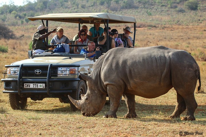 2024 (Mbombela) Photographic Day Trip into the Kruger National Park