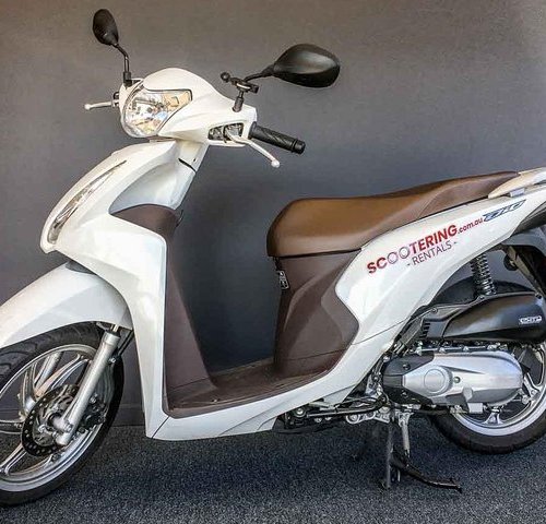 2024 Scooter Rental Honda NSC110 Dio 110cc