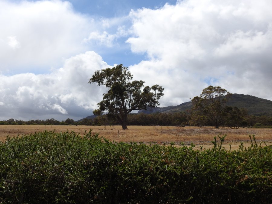 Manyat Peak Cottages And Gallery Updated 2020 Prices Cottage Reviews And Photos Porongurup Australia Tripadvisor