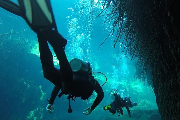 fish tulum cenote