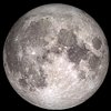 Harry Moon