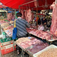 Khlong Toei Market (Bangkok) - All You Need to Know BEFORE You Go