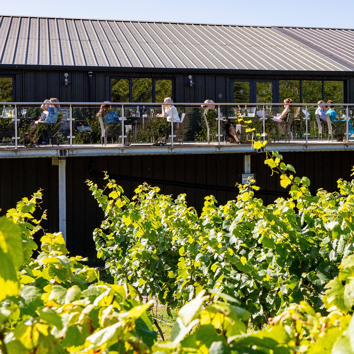 bolney wine tour