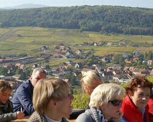 alsace winery tour