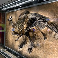 Natural History Museum of Los Angeles County - All You Need to Know ...