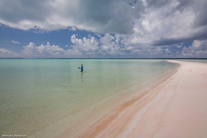 Sables roses with Orava Excursions in Rangiroa